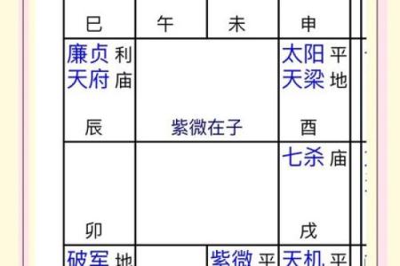 紫薇斗数命盘会照