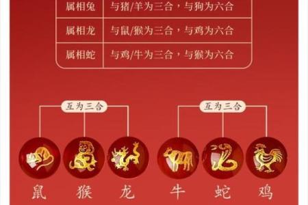 属牛和属蛇的相合配对指数