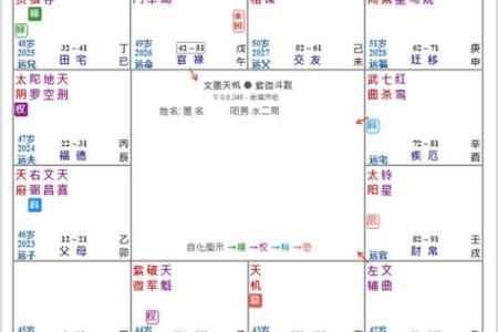 九宫格紫薇斗数盘算命怎么看