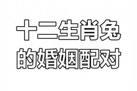 生肖属兔合婚须知，属兔配对需要注意的问题！