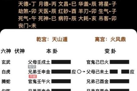玄奥周易排盘，玄奥周易选号破解版？