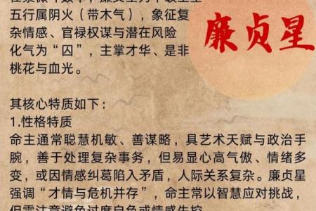 紫微斗数排盘廉贞星坐兄弟宫,廉贞星坐兄弟宫的意义