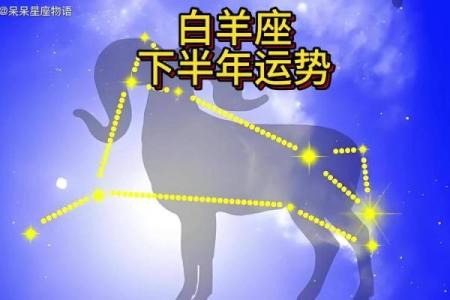 白羊座下一个星座运势