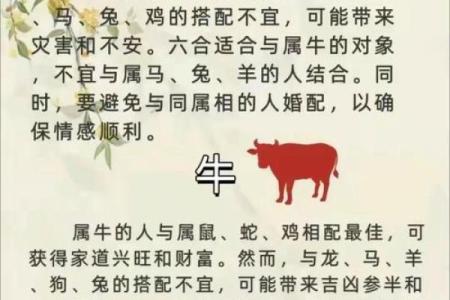 八字合婚在线算命-1971年属猪的蕞佳配偶是哪个属相
