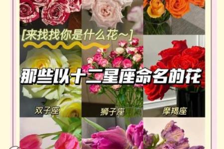 十二星座分别代表的花都有哪些呢