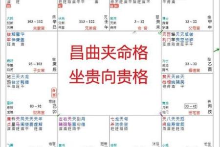 紫薇斗数哪个命格更好