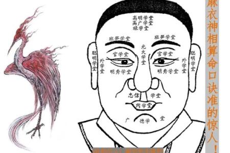西方三大占卜术,算命三大神术