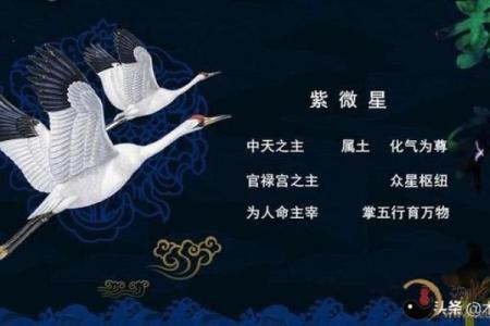 何汉民紫薇斗数