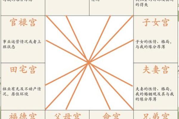 紫薇斗数性格犟