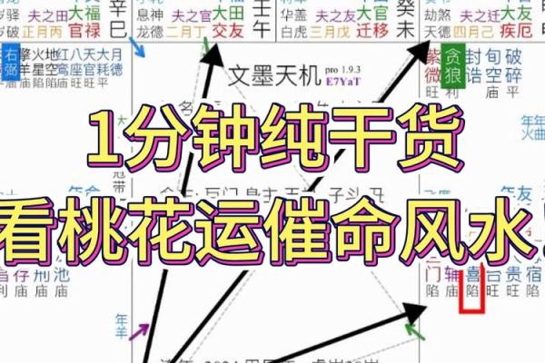 紫微斗数子午 紫微斗数子午卯酉四被动桃花？