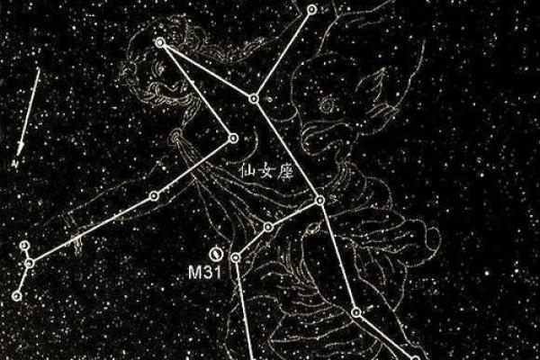哪个星座对神秘的宇宙最感兴趣呢