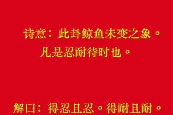 观音灵签卦词损失千年道行