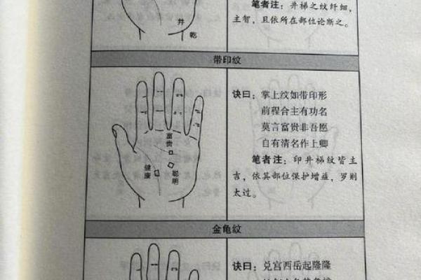 看手相算命：第三课 指头与掌型