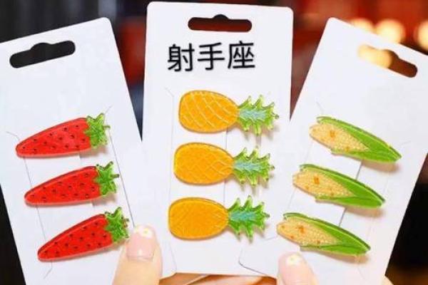 十二星座的专属头发和发夹怎么做