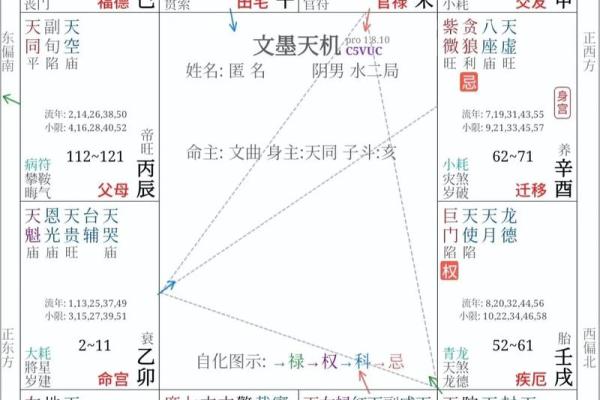 紫薇斗数很准吗