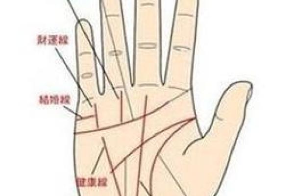 手相算命话语,手相算命说法