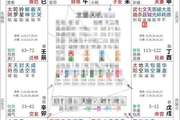 紫薇斗数廉贪巳亥二婚怎么样