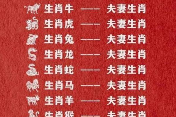 1974年属什么生肖配对 多大几岁 配偶