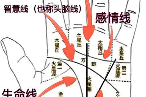 风水手相怎么看生命线断开是什么意思