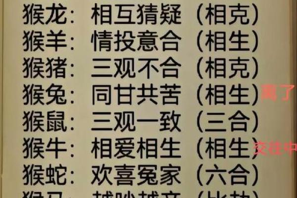 兔猴生肖配对姻缘 兔与猴的婚姻相配吗