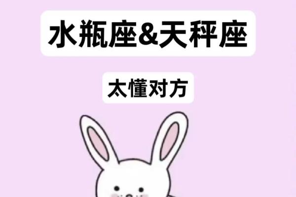 水瓶座和双子座配对指数较高，天生一对？