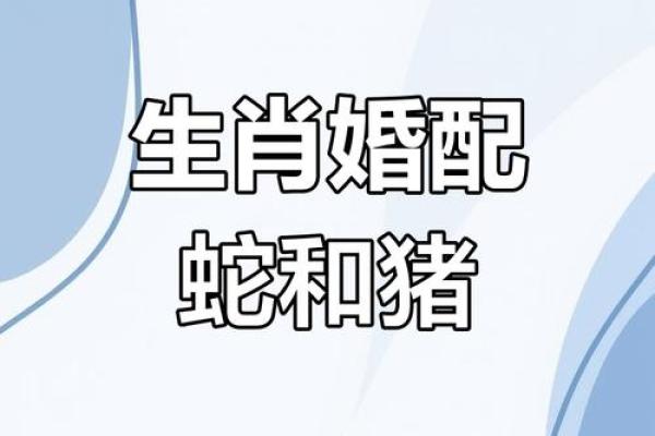 属蛇的人和哪些生肖最为配对