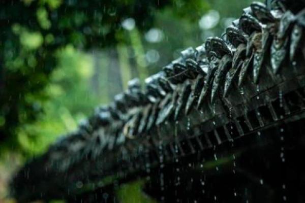 梦见下雨的吉凶财方位