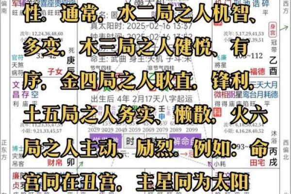 紫薇斗数看文化
