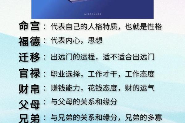 紫薇斗数看文化