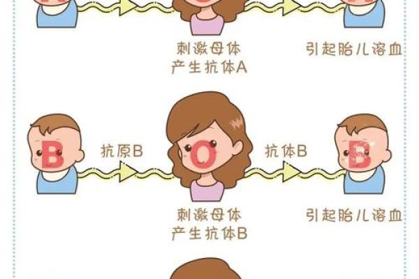 太容易相信别人的血型