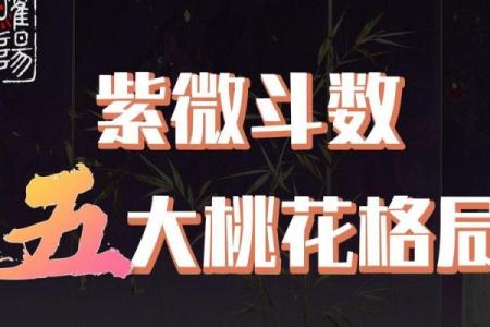 紫微斗数子午 紫微斗数子午卯酉四被动桃花？