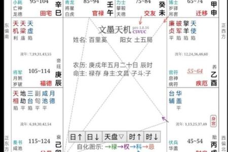 紫薇斗数飞禄