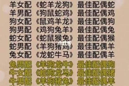 属猪和处女座女配对如何