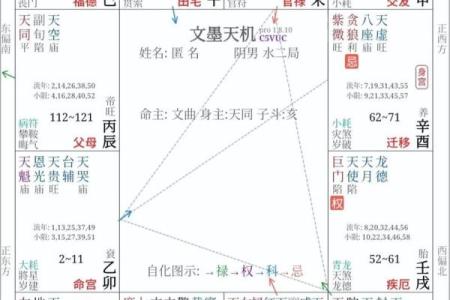 紫薇斗数很准吗