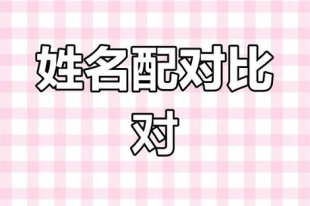 姓名配对免费