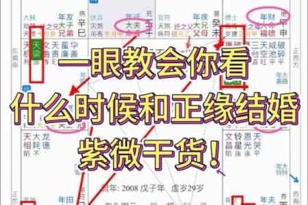 紫薇斗数预示什么