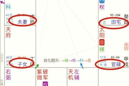 紫薇斗数廉贪巳亥二婚怎么样