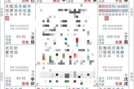 改良紫薇斗数全书