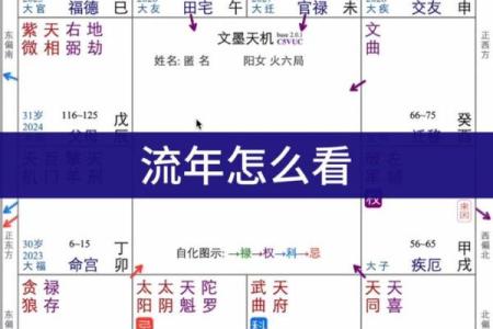 紫薇斗数怎么看大限旺衰