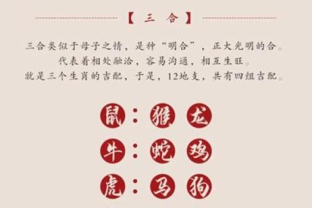 2024龙年11月生肖虎出行吉日一览表