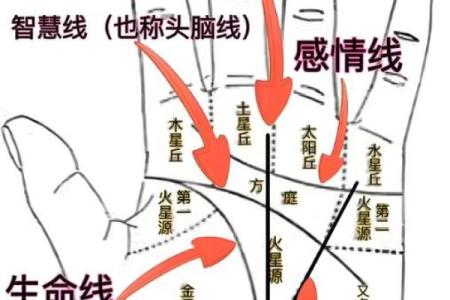 风水手相怎么看生命线断开是什么意思