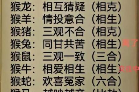 兔猴生肖配对姻缘 兔与猴的婚姻相配吗