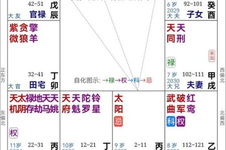 作家的紫薇斗数
