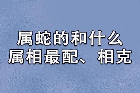 属蛇的人和哪些生肖最为配对