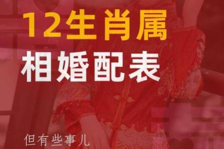最全的十二属相配对