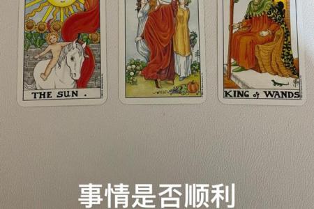 塔罗牌测试怀孕时间