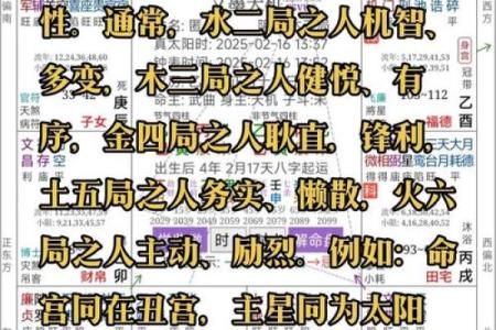 紫薇斗数看文化