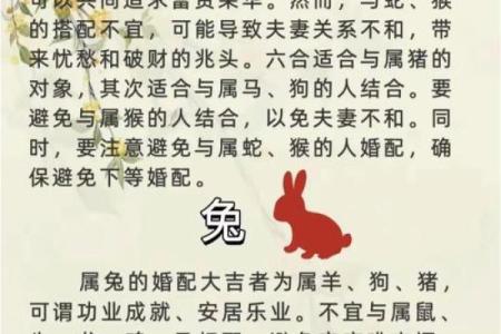 1983年属猪的婚配 1983年属猪的人应该和哪些生肖的人结婚配对