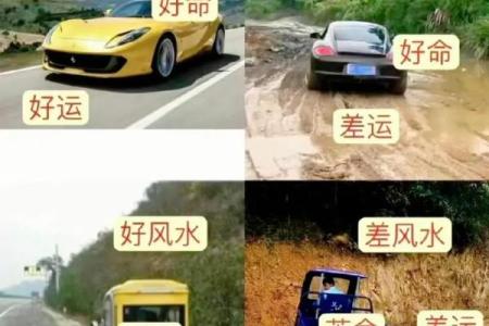 叶曼一命二运三风水