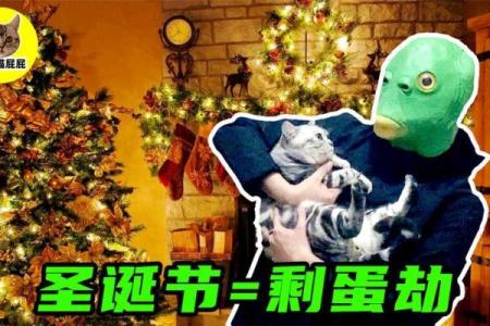 12星座圣诞如何不“剩蛋”